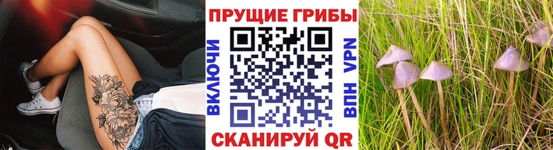 Купить закладки  Льгов  Галлюциногенные грибы прущие грибы 